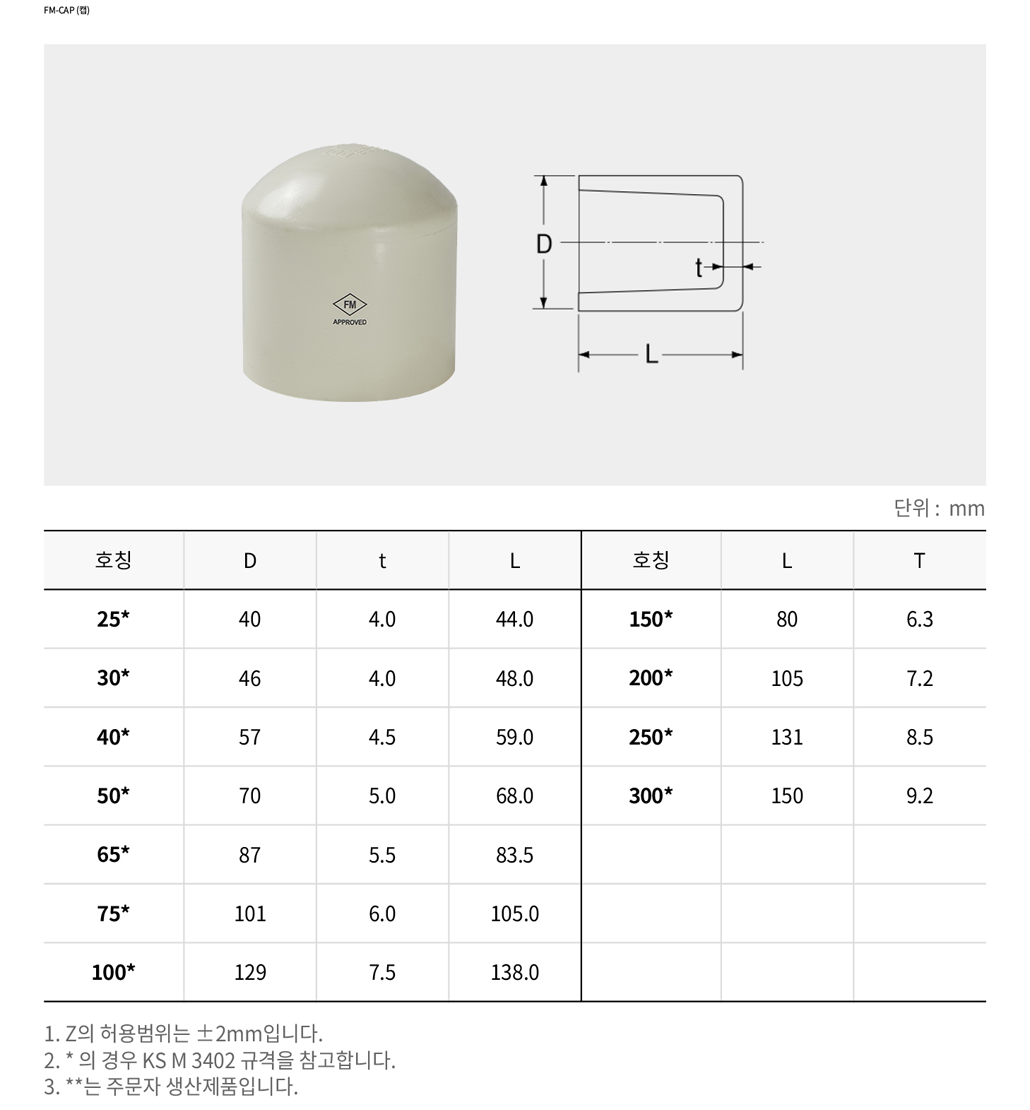 FM-CAP (캡)